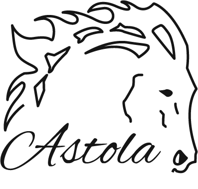Astola - Centre équestre à Mézilles